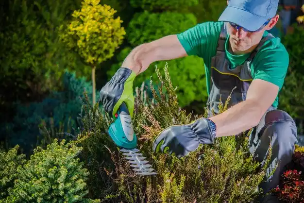 landscaping services Riverside